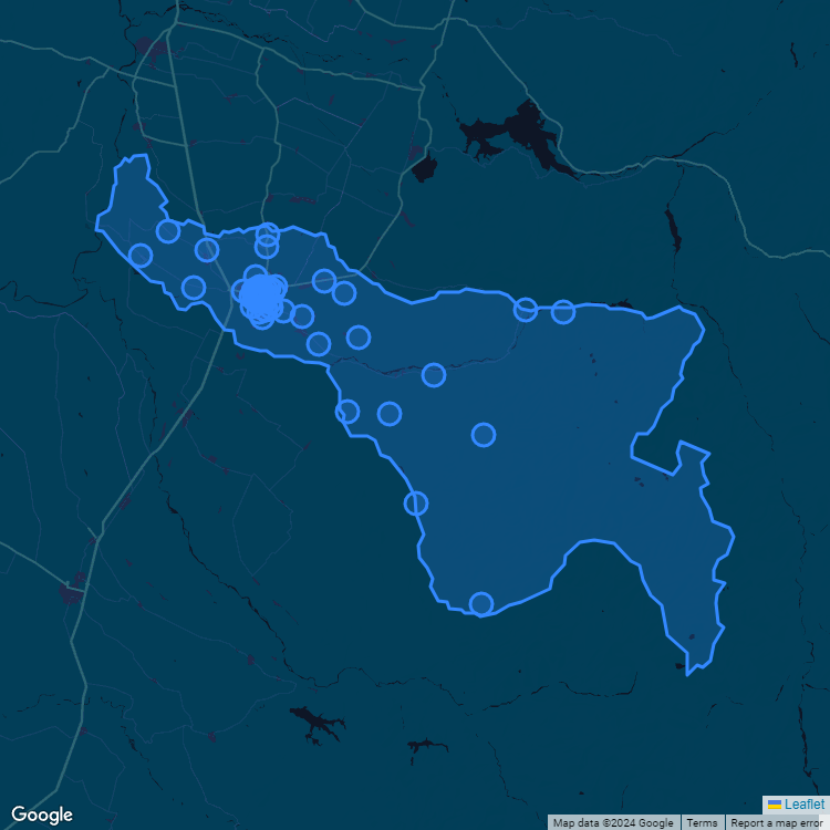 Mapa de la comuna de Linares mostrando los establecimientos educacionales participantes en el Sistema de Admisión Escolar (SAE)