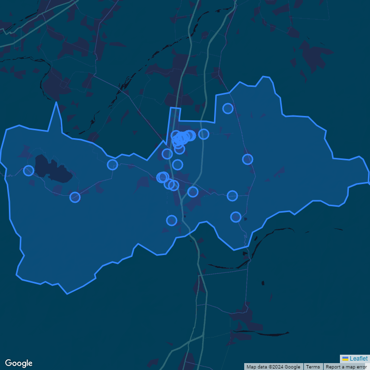 Mapa de la comuna de Paine mostrando los establecimientos educacionales participantes en el Sistema de Admisión Escolar (SAE)